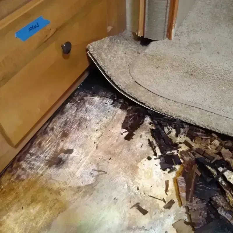 Wood Floor Water Damage in Alpha, NJ